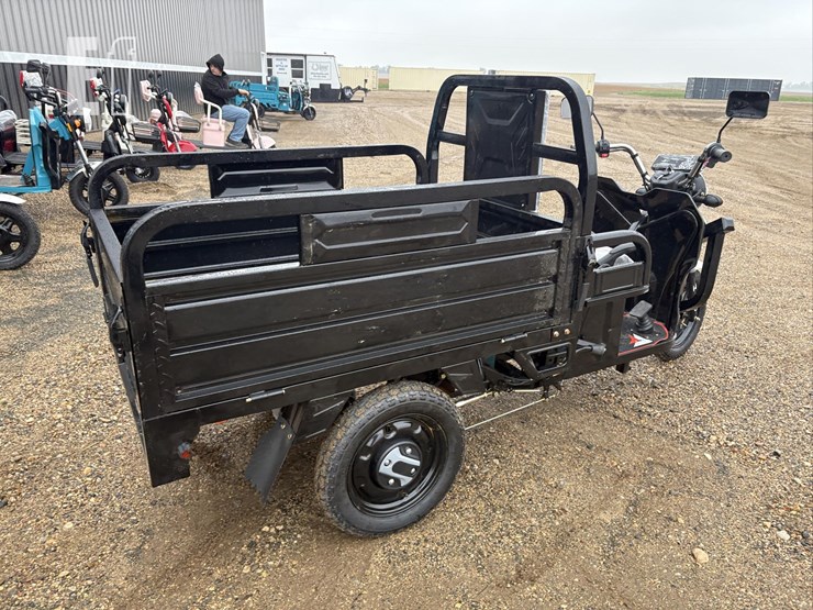 2026-iret13-electric-tricycle-#4-(black)-10094-image-5