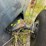 #40120-•-prentice-knuckleboom-loader-for-parts/repair-image-44