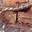 caterpillar-d5m-image-45