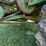 1978-john-deere-7700-image-49