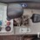 2019-merlo-p40.17-image-10