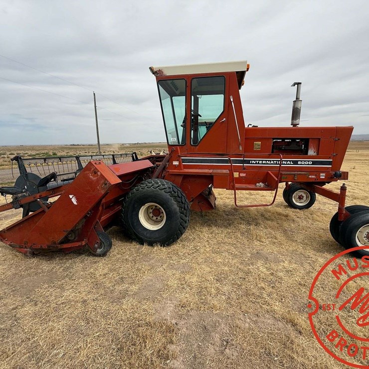 INTERNATIONAL 5000