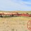 wil-rich-40-image-1