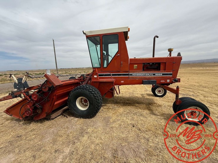 international-5000-image-2