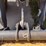 deere-544-p-tier-image-25