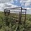 cattle-chute-8943-image-3