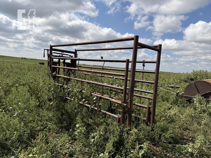 cattle-chute-8943-image-3