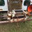 #2032-•-ago-trackt-gt1000h-dump-truck-image-9