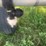 summers-sprayer-image-9
