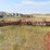 wil-rich-40-image-4