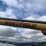 westfield-tgx-80x31-auger-image-4
