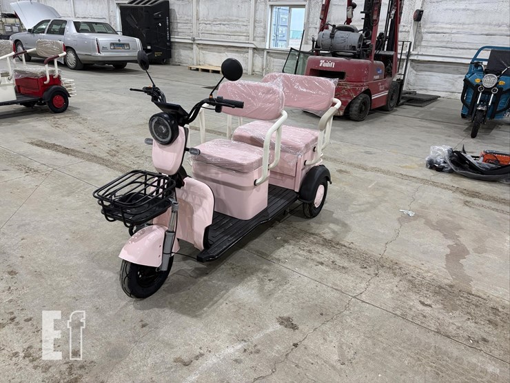 2026-irgc40-mini-golf-cart-#3-(pink)-10090-image-1