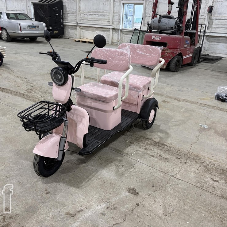 2026 IRGC40 MINI GOLF CART #3 (PINK) 10090
