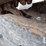 2019-bobcat-mt85-image-10