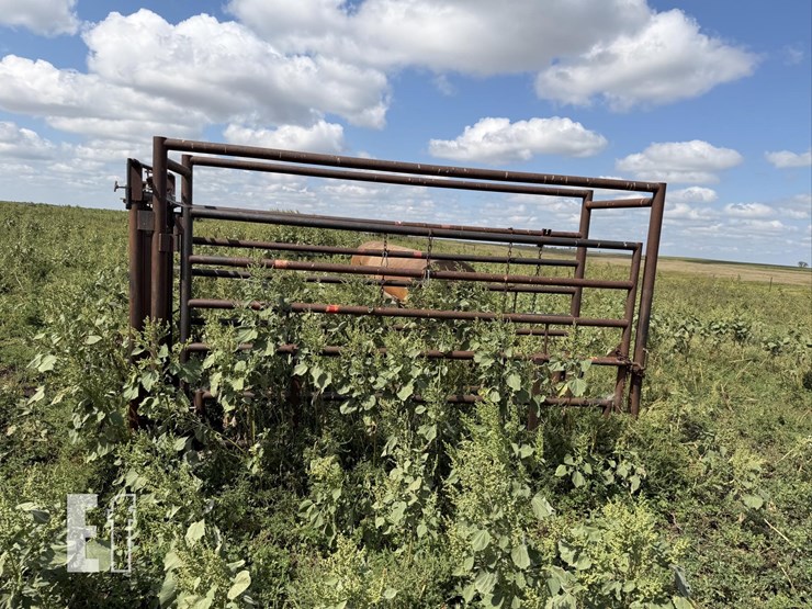 cattle-chute-8943-image-2