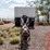 1996-pioneer-pup-trailer-image-5