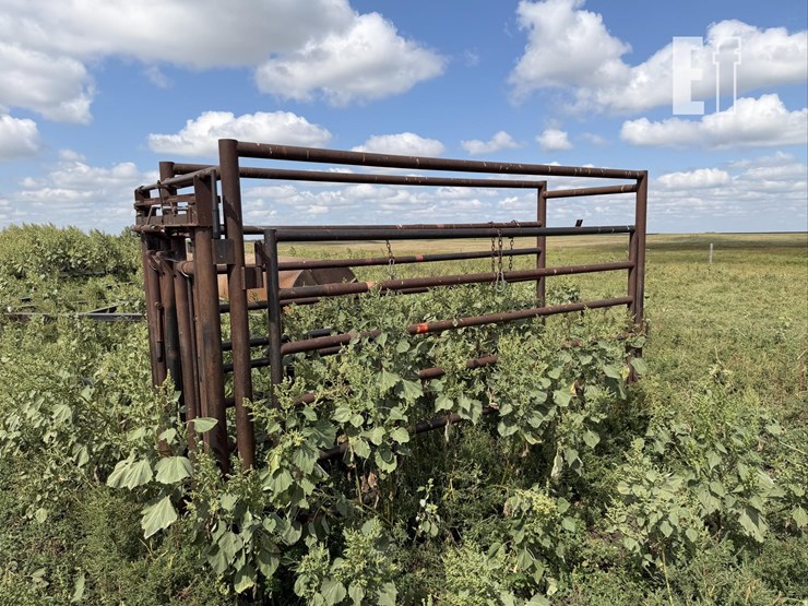 cattle-chute-8943-image-1