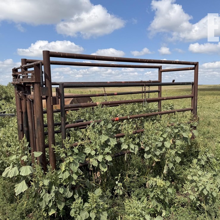 CATTLE CHUTE 8943