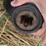 john-deere-lx5-image-11