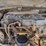 1999-caterpillar-th83-image-27
