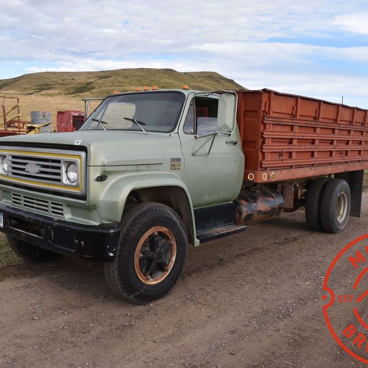 1975 CHEVROLET C65