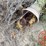 john-deere-616-image-7