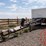 1996-pioneer-pup-trailer-image-6