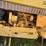 #2038-•-case-380b-tractor-image-10