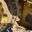 caterpillar-d5m-image-57