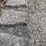 2019-takeuchi-tl8-image-23