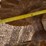 #2448-•-2015-kuhn-excelerator-8000-vertical-till-image-29