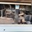 2011-doosan-g25-image-2