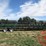 john-deere-635f-image-5