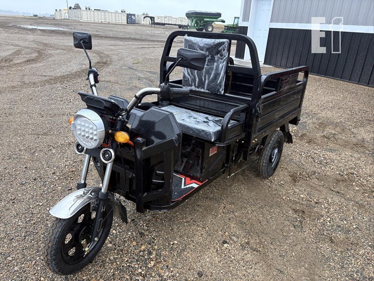 2026-iret13-electric-tricycle-#4-(black)-10094-image-1