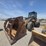 2018-case-721g-image-1