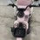 2026-irgc40-mini-golf-cart-#3-(pink)-10090-image-9
