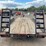1998-corn-18’-t/a-utility-trailer-image-4