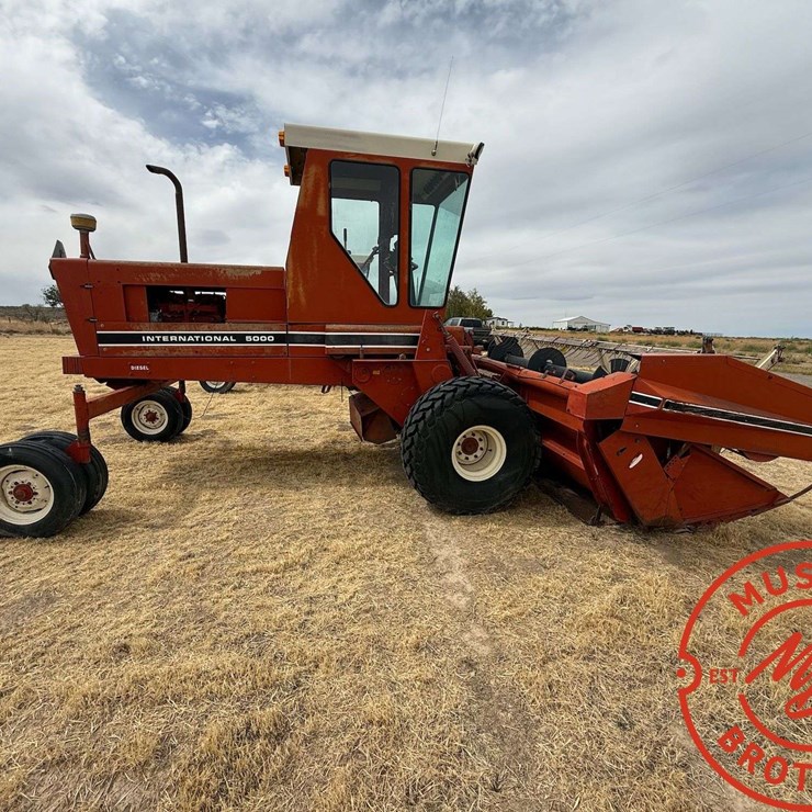 INTERNATIONAL 5000
