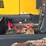 2022-komatsu-wa320-8-image-38