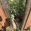 cattle-chute-8943-image-9