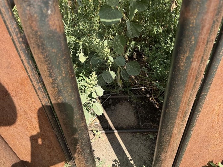 cattle-chute-8943-image-9