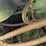 1978-john-deere-7700-image-9