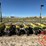 john-deere-7100-image-3