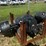 #47135-•-rear-end-axle-for-fire-truck-image-2