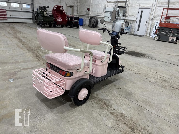 2026-irgc40-mini-golf-cart-#3-(pink)-10090-image-5