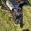 2021-pj-ul20-image-9
