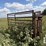 cattle-chute-8943-image-7