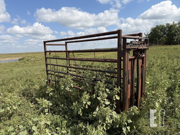 cattle-chute-8943-image-7