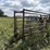 cattle-chute-8943-image-5