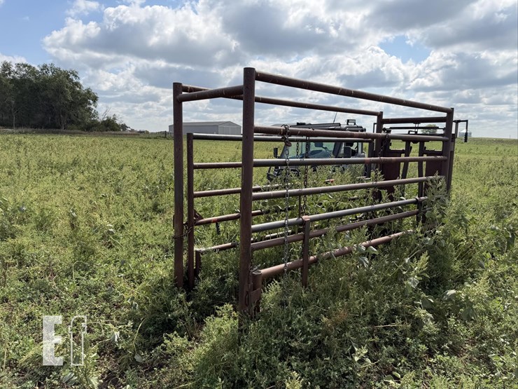 cattle-chute-8943-image-5